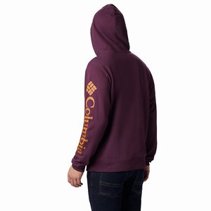 Columbia Viewmont™ II Sleeve Graphic Hoodie Herr Lila/Orange (YQLWT1387)